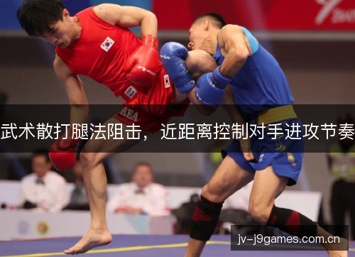 武术散打腿法阻击,近距离控制对手进攻节奏 武术散打腿法阻击,近距离控制对手进攻节奏